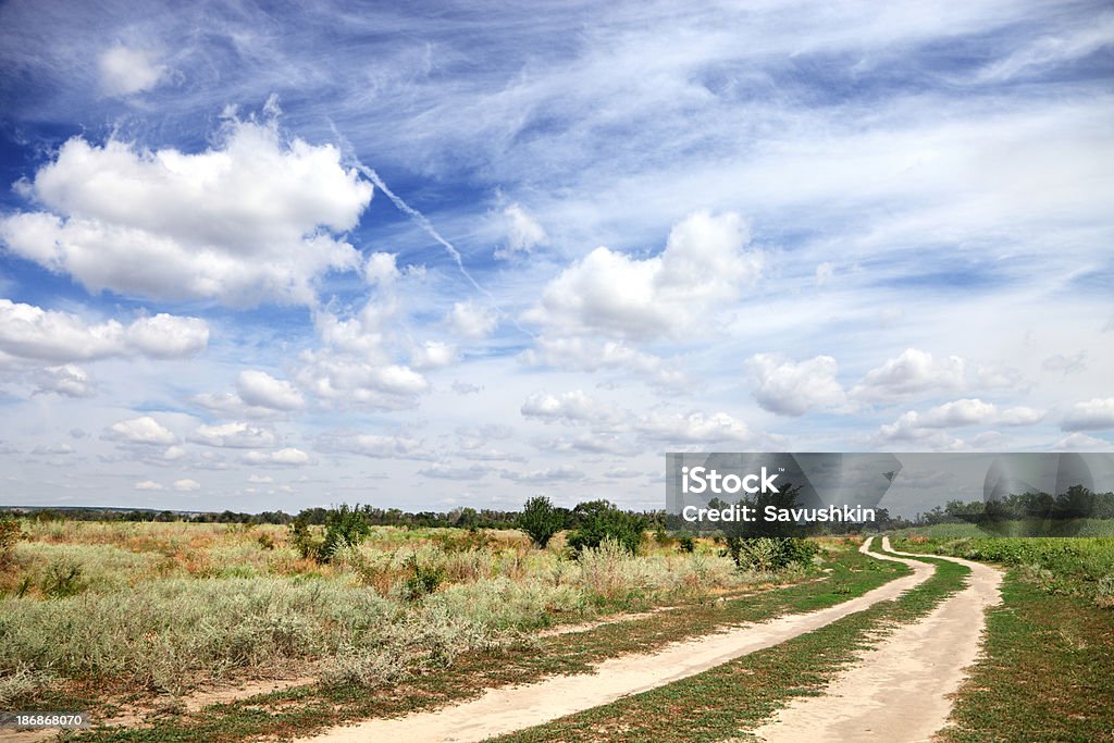 Carretera de tierra - Foto de stock de Agricultura libre de derechos