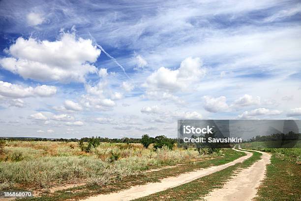 Carretera De Tierra Foto de stock y más banco de imágenes de Agricultura - Agricultura, Aire libre, Aislado