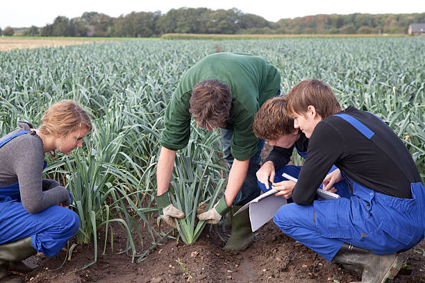 Field Trainee Program 110+ Agriculture Farmer Trainee Training Stock Photos, Pictures ...