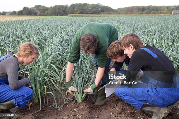 Formando A Agricultura - Fotografias de stock e mais imagens de Agricultura - Agricultura, Aula de Formação, Agricultor