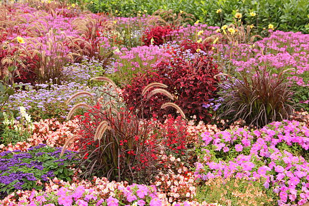 istock Flower garden in summer 186868438