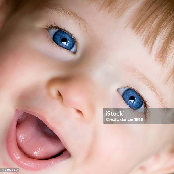 ベビーブルーの目 - 1歳以上2歳未満のストックフォトや画像を多数ご用意 - 1歳以上2歳未満, クローズアップ, コンセプト