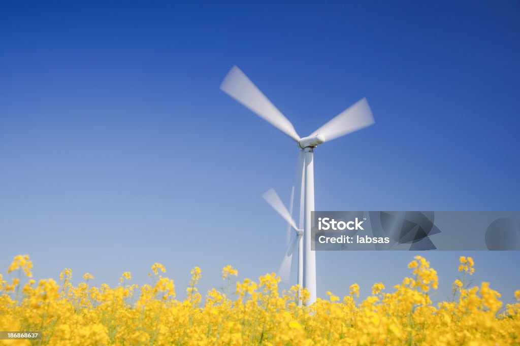 Turbinas eólicas do campo em amarelo.  A energia sustentável.  Polarized céu azul. - Foto de stock de Amarelo royalty-free