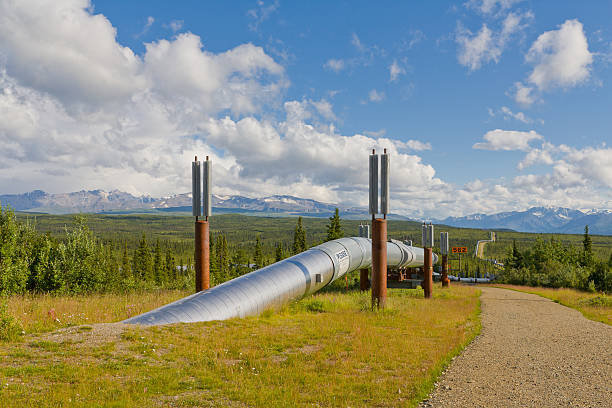 istock Trans Alaskan Oil Pipeline, Alaska 186868657