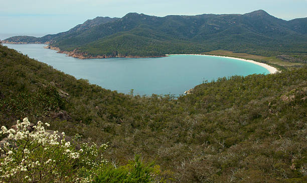 istock Wineglass Bay Freycinet Tasmania 186869116