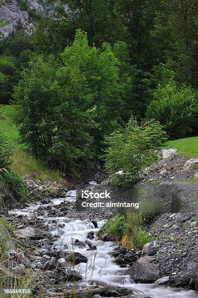 Foto de Creek e mais fotos de stock de Bernese Oberland - Bernese Oberland, Dia, Exterior