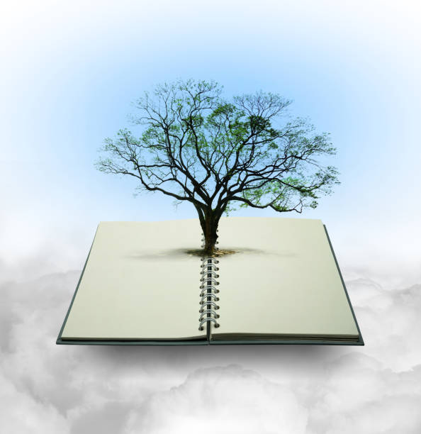 istock The sky, the water, the trees of knowledge sprouting from books. 1868693624
