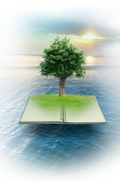 istock The sky, water, books, trees of knowledge sprouting from books. 1868695690