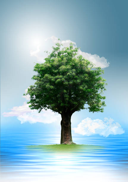 istock The sky, the water, the trees of knowledge sprouting from books. 1868695699