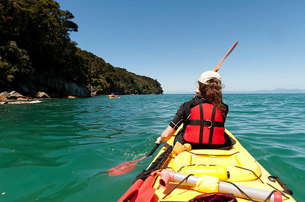 kayaking in abel tasman - abel tasman foto e immagini stock