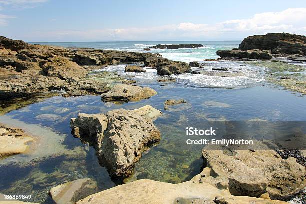 Spiaggia Botanica - Fotografie stock e altre immagini di Ambientazione esterna - Ambientazione esterna, Ambiente, Area selvatica