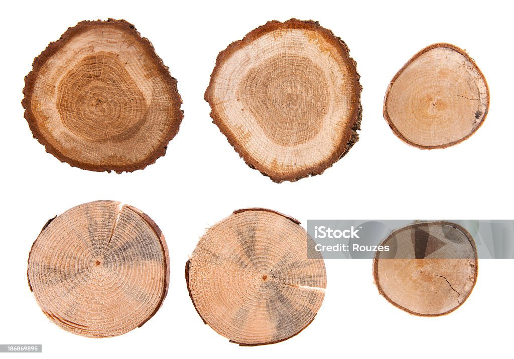 Legno crossection - Foto stock royalty-free di Anello di albero