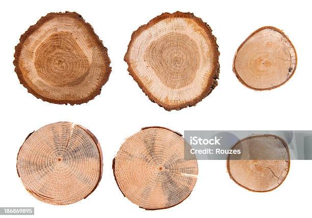 Legno Crossection - Fotografie stock e altre immagini di Anello di albero - Anello di albero, Sezione trasversale, Quercia