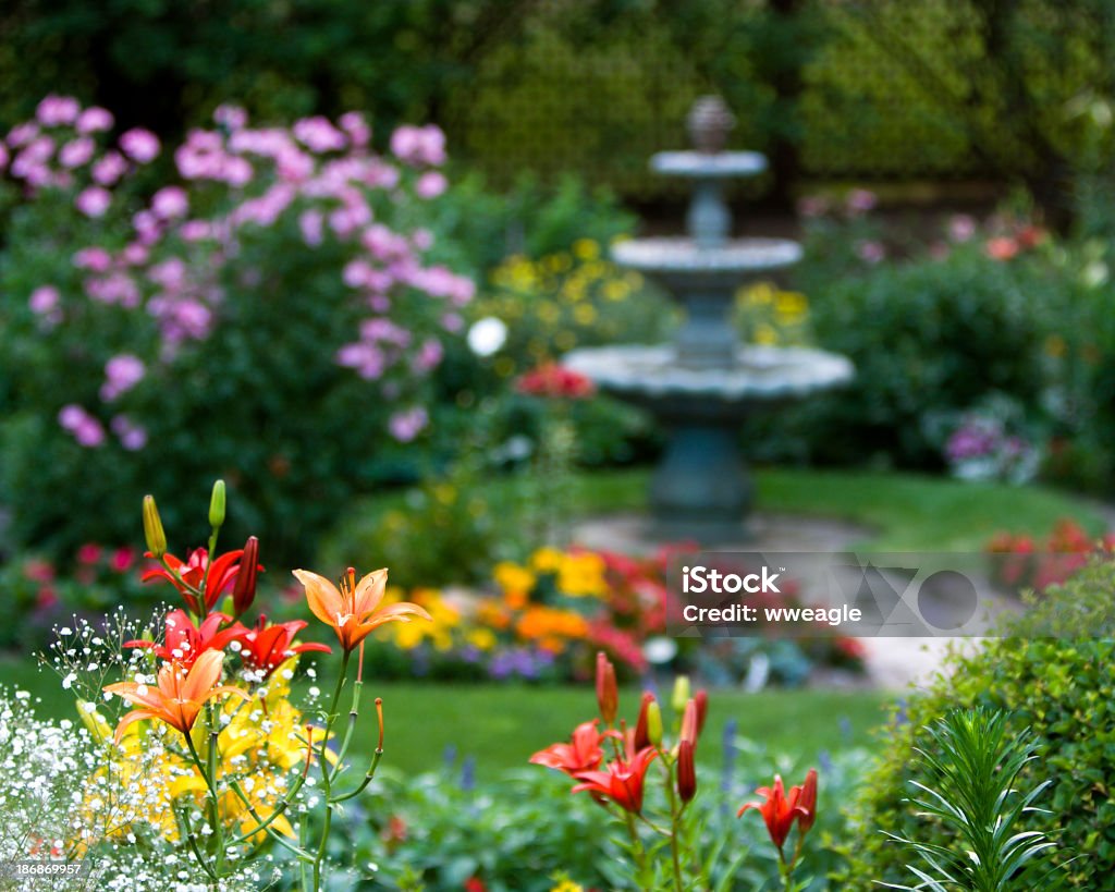 Hermoso jardín - Foto de stock de Jardín privado libre de derechos