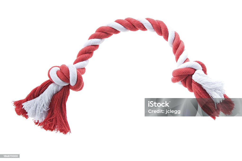 Rouge et blanc corde jouet pour chien - Photo de Jouet pour chien libre de droits
