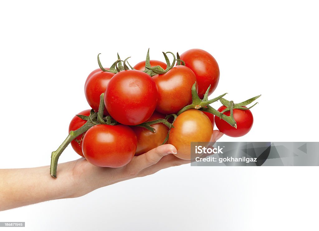 Tomates en la palma de - Foto de stock de Adulto libre de derechos