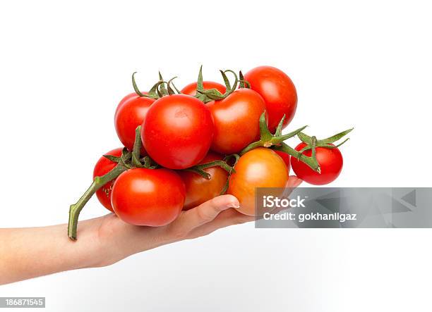 Tomates En La Palma De Foto de stock y más banco de imágenes de Adulto - Adulto, Agarrar, Agricultura