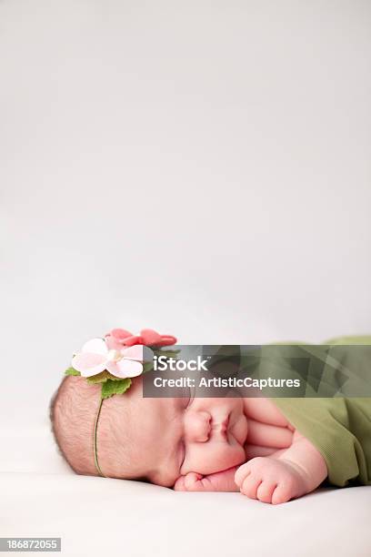 Newborn Baby Girl Swaddled Suave Edredón Verde Foto de stock y más banco de imágenes de 0-1 mes - 0-1 mes, 0-11 meses, Acostado