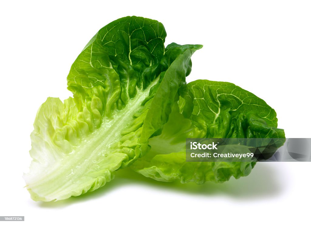 Römersalat leaf - Lizenzfrei Salat - Blattgemüse Stock-Foto