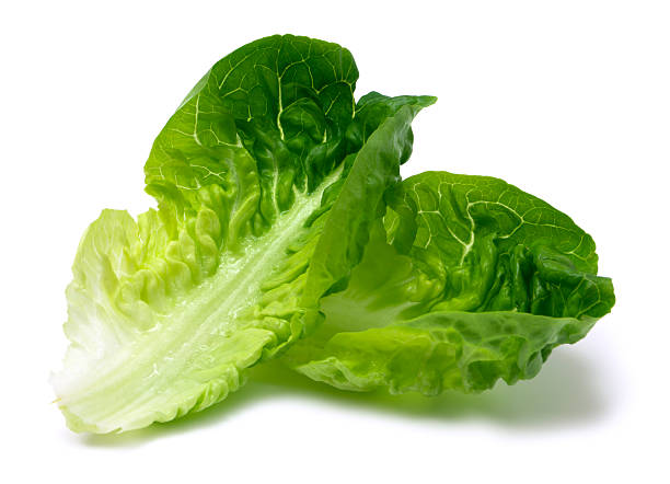Romaine lettuce leaf Romaine lettuce leaf isolated lettuce stock pictures, royalty-free photos & images