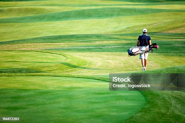 Golfer Stock Photo - Download Image Now - Golf, Golf Course, Turf