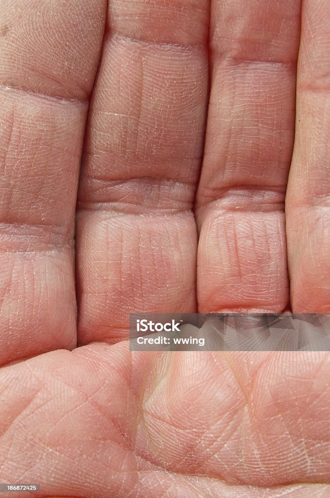 Palma y los dedos - Foto de stock de Belleza libre de derechos
