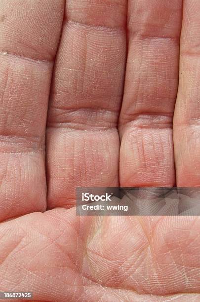 Foto de Palm E Dedos e mais fotos de stock de Beleza - Beleza, Corpo humano, Dedo humano