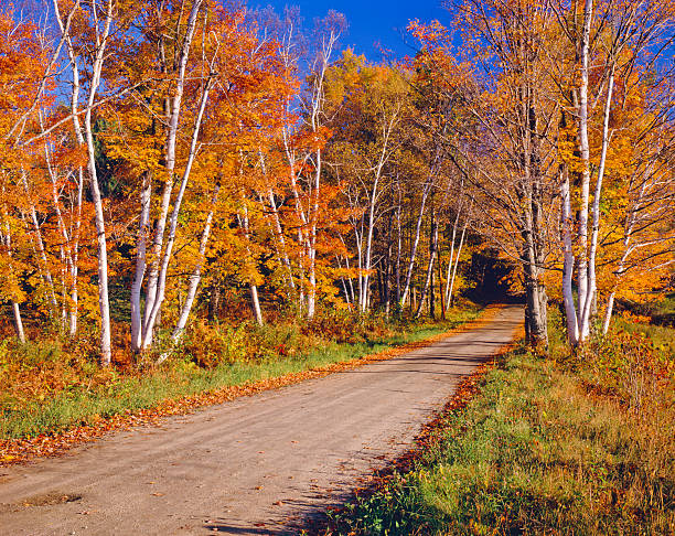 istock Autumn country road in Vermont 186872456