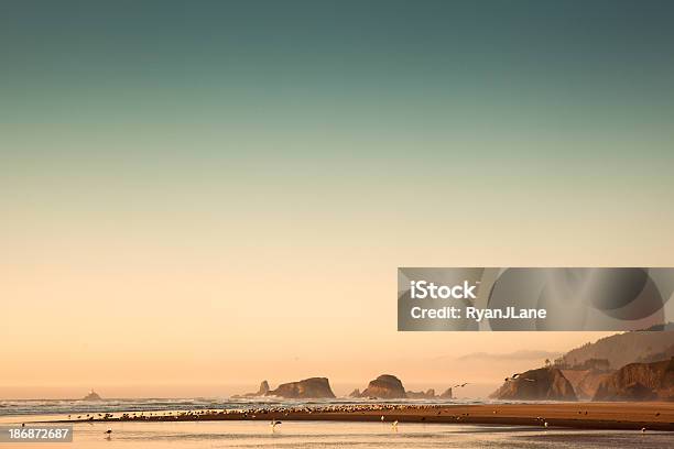 キャノンビーチレトロ画像 - Horizonのストックフォトや画像を多数ご用意 - Horizon, かすみ, アメリカ太平洋岸北西部