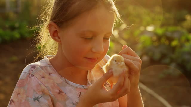 The girl carefully and gently holds a cute chick
