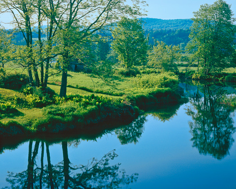 Lush green foliage in brilliant spring green lines the Waits River in Bradford, Vermont, USA.