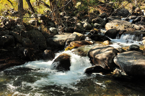 istock A stormy stream of a shallow stream flowing down from the mountains through the currents of the autumn forest, bending around large stones on its way. 1868753390