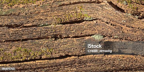Verwitterte Holz Hintergrund Stockfoto und mehr Bilder von Abgestorbene Pflanze - Abgestorbene Pflanze, Alt, Astloch