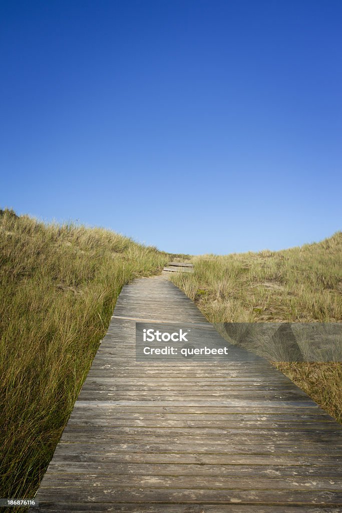 Brücke über den sand dunes - Lizenzfrei Blau Stock-Foto