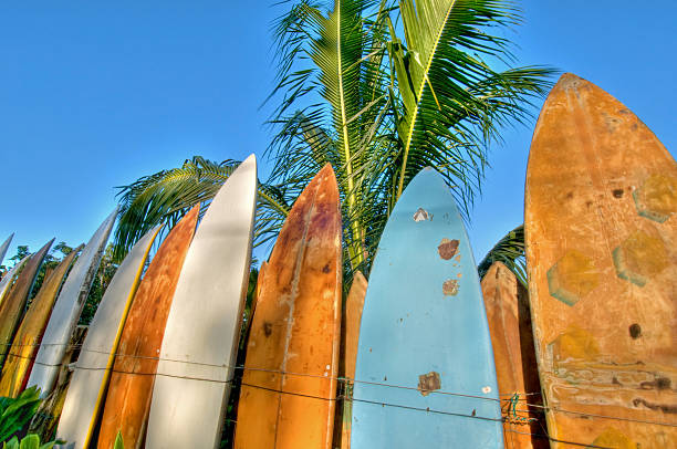 istock Surfboard fence lit by sunrise 186876558