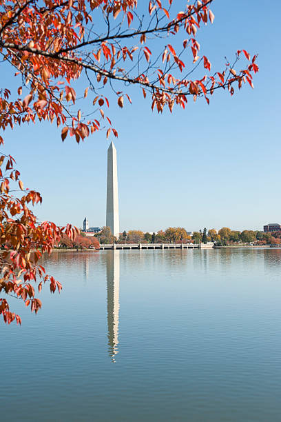 istock Washington monument at the mall, in DC with colorful tree 186876656