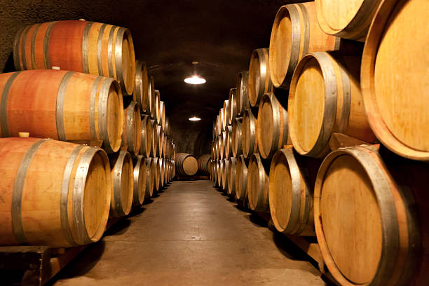 istock Wine cave full of aging barrels 186876981