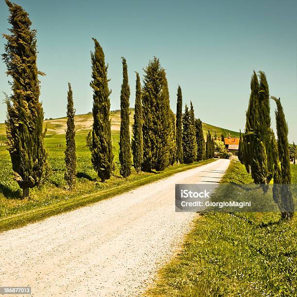 Foto de Avenida Com Ciprestes Verdejantes Da Toscana Val Dorcia Na Itália e mais fotos de stock de Arborizado