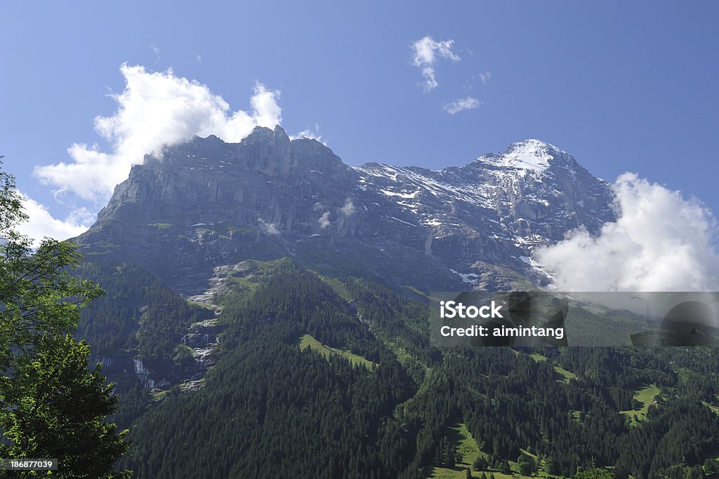 Góry w Szwajcarii - Zbiór zdjęć royalty-free (Berneński Oberland)