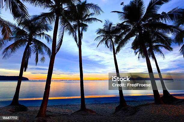 Tropischer Strand Stockfoto und mehr Bilder von Abenddämmerung - Abenddämmerung, Baum, Blau