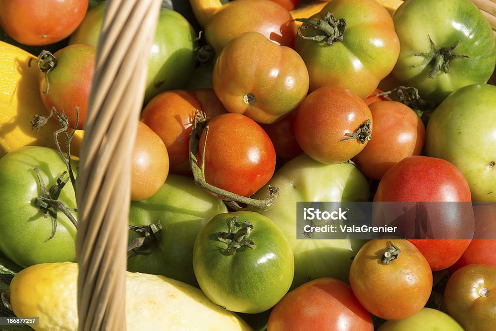 Full frame von Tomaten mit Korb Griff. - Lizenzfrei Eigen-Anbau Stock-Foto