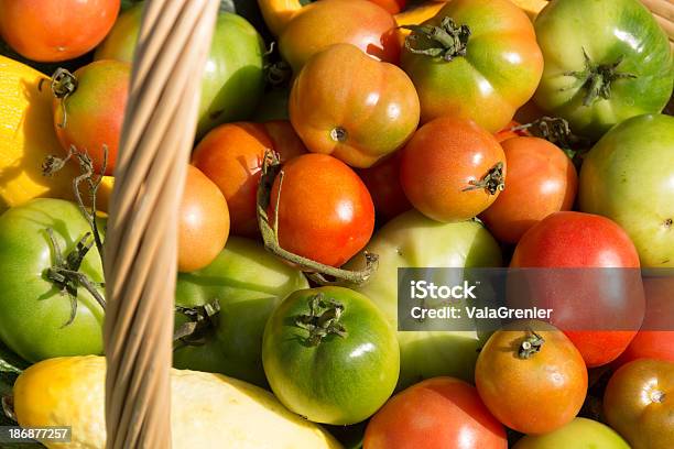 Full Frame Von Tomaten Mit Korb Griff Stockfoto und mehr Bilder von Eigen-Anbau - Eigen-Anbau, Farbbild, Formatfüllend