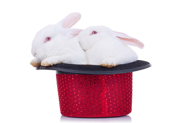 istock Two cute bunnies in a red hat 186877267