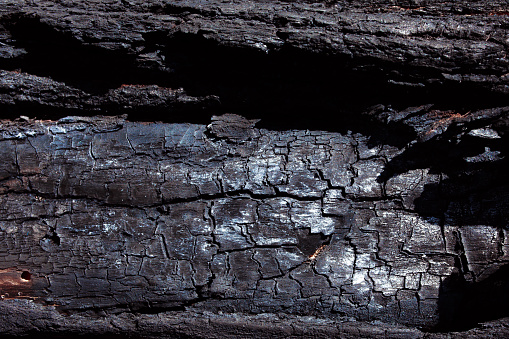 The surface of a dilapidated tree with cracks and scratches. Burnt tree trunk.