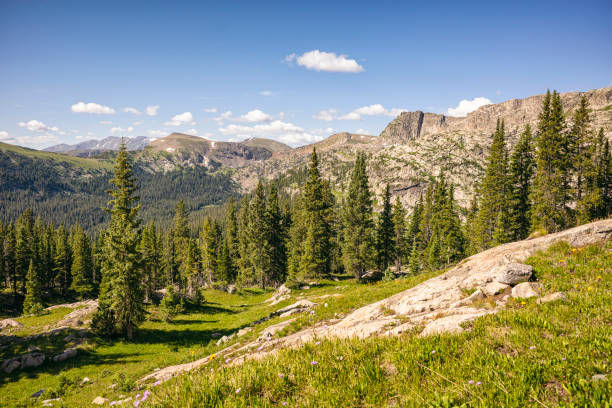 istock Tranquil mountain landscape with coniferous trees and meadow, Colorado 1868785742