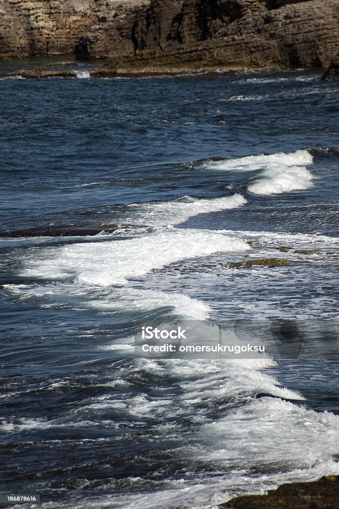 Côte rocheuse et vagues - Photo de Arbre libre de droits