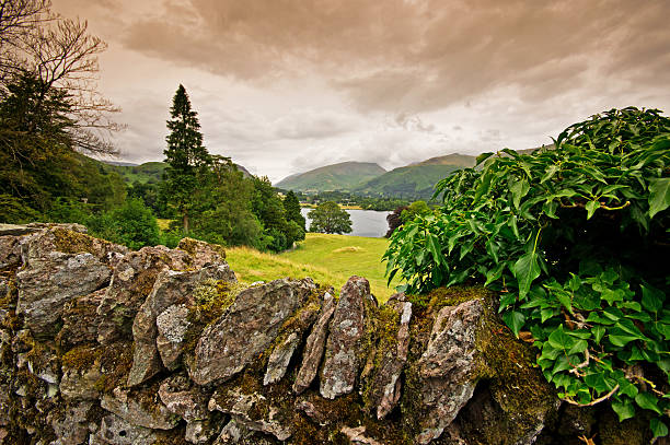 vista de una pared de piedra en cumbria seco - nibthwaite fotografías e imágenes de stock