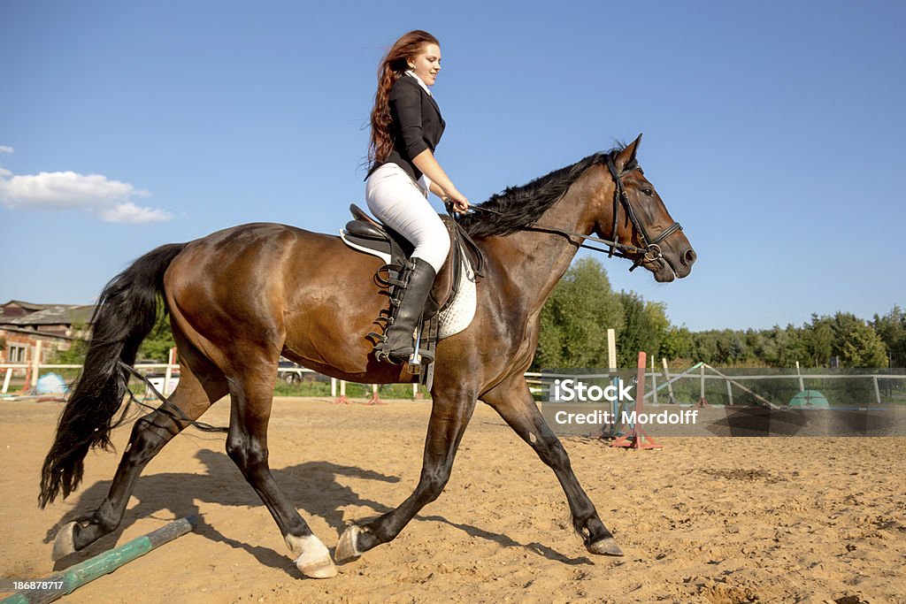 dressage equestre - Foto stock royalty-free di Andare a cavallo