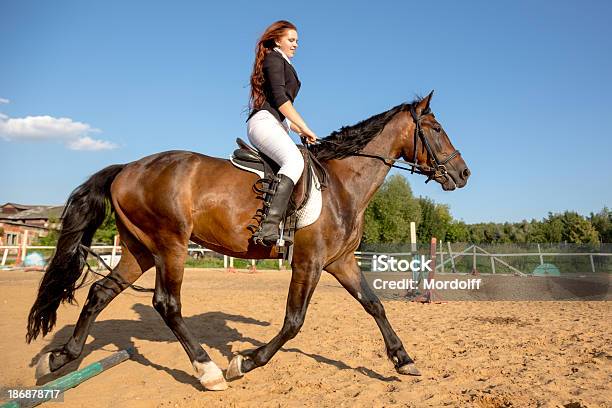 Dressage Equestre - Fotografie stock e altre immagini di Andare a cavallo - Andare a cavallo, Abbigliamento, Adolescente