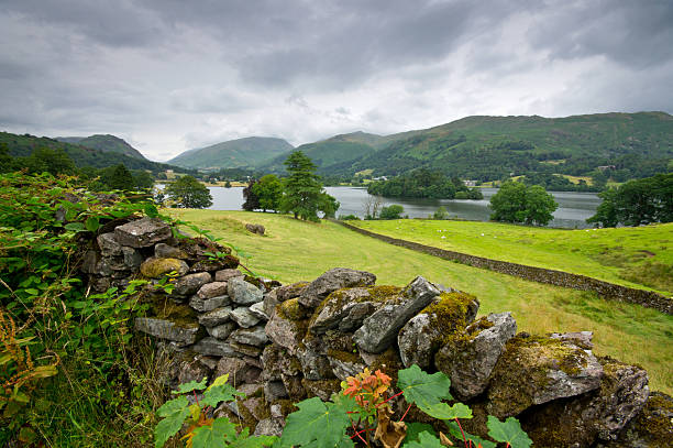 vista de una pared de piedra en cumbria seco - nibthwaite fotografías e imágenes de stock